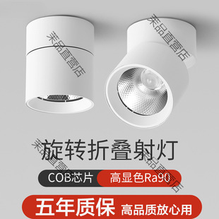 Open-mounted Spotlight Folding Adjustable External Spotlight Non-opening Spotlight Living Room Background Wall Downlight Entrance Crest Light