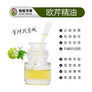 �W���� ���R��W���Ѿ��� Parsley Seed Oilֲ��W�����ͬF؛���l