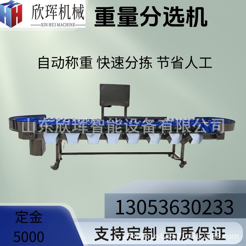 Fruit sorting machine