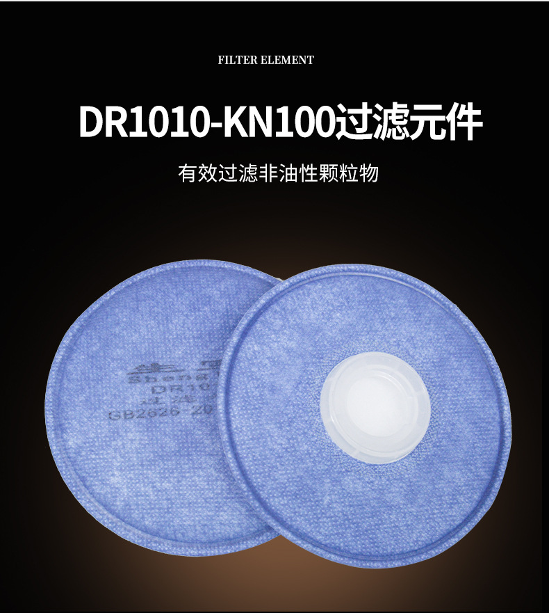 DR1010-KN100 filter element details page_02.jpg