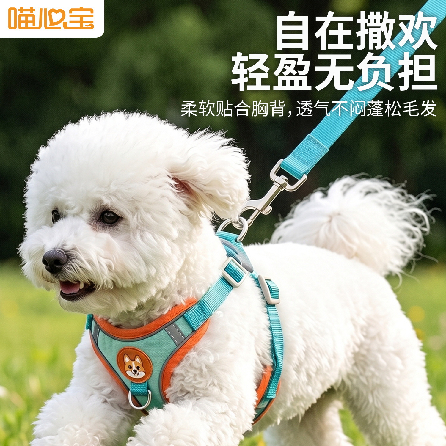Dog Leash, Small Size Dogs Teddy Harness, Cat Puppy Walking Leash, Dog Vest Style Reflective Harness