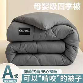 专供YCXNS202608251003