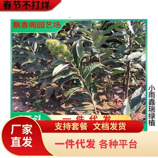 �޽Ӱ������t�۳е°��������Ϸ������Nֲ����Y�������Ә���