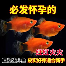 �����~�¹��~̥���~С���~�^�p�~�Ꭷ�~���B��С�������~���w���T