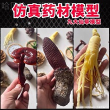 �S��ģ�͵����x��¹��ģ�͙�����ș�Ĳ����F�`֥�˱�