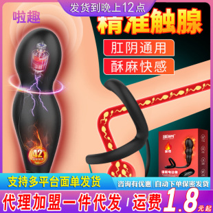 Pleasant Cynomorium Electric Anal Plug Second Generation Upgraded Version Constant Temperature 42 Degree Heating Anal Plug for Men and Women to Share the Back Yard