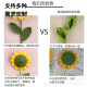 Sunflower Finished Hand-woven Flower bouquet Wool Flower Graduation Gift for Girl Girlfriend's Birthday Teacher
