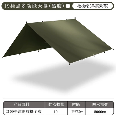 Avtomobil yan çətirləri Multi-Point Canopy - black-glue-19-hanging-olive-green-sky-curtain-outer-bag-no-accessories-3x3m