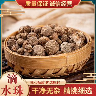 ��ˮ�� Ұɽ һ����ʯ���Ī��~һ֦��һ���� 500�˰��]��؛����؛