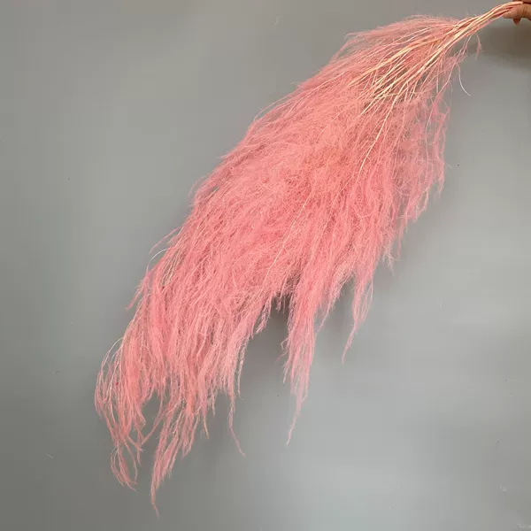 Светло-сакуровый