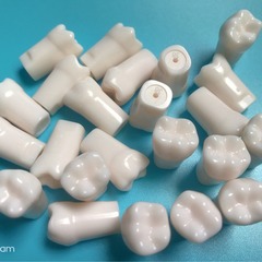 歯の模型を用意して髄歯を開けてシミュレーションして歯科の歯の粒の口腔の根管の離体の歯の樹脂の歯の試験の専用の歯を植えます。