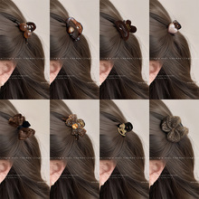 ����Сץ�AŮ�߼���2026�¿����������^�l�Aǰ�~������߅�A��l��