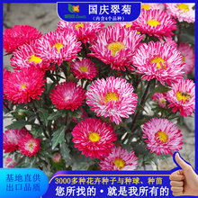 ��շN�Ӽ�ͥ�@ˇ�҃ȼ�ͥ���ԼҾӔ[�O�����ļ��л��^�p���ܻ���