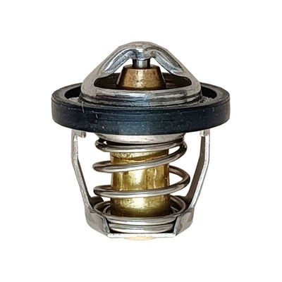 Thermostat, Thermostat