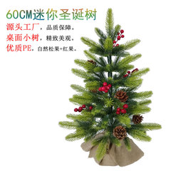 2025国境を越えた新製品60センチ全PE落雪植毛クリスマスツリークリスマスツリーセットクリスマス装飾品