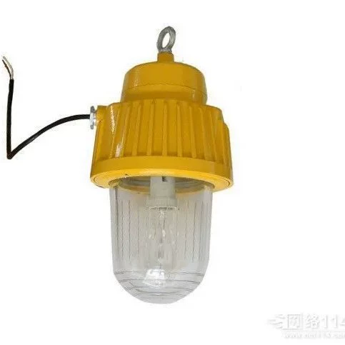 Explosion-proof platform light/BPC8730-J15