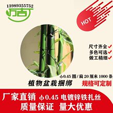 ���\�F�z����20�������������z�����¼�ճ�x����������