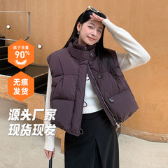 2025年秋冬新款立领短款羽绒马甲宽松显瘦韩版外穿马夹平湖羽绒服
