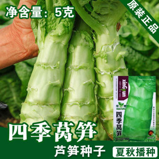 �n�S�N���n�S�ѼtƤ�n�S�n���ļ������~��Ƥ�r�n�S�����߲˷N��