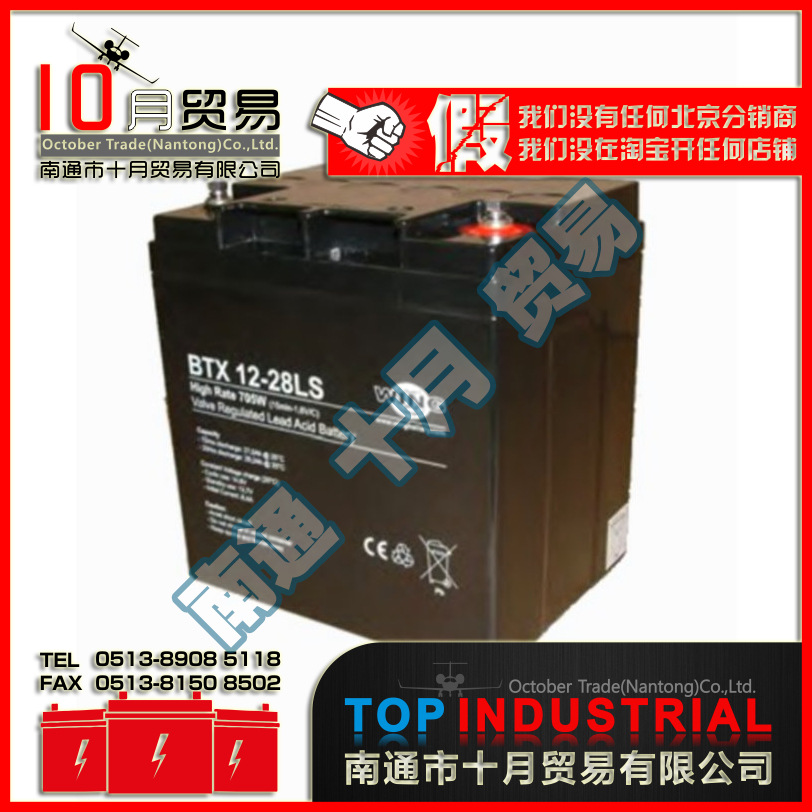 德国WING蓄电池 BTX12-28LS 原装进口