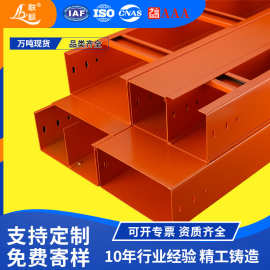 电缆桥架50*200喷塑防火阻燃梯式喷涂槽式托盘式金属线槽防火桥架