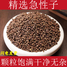 șPɻ ָ׻ ؛ѼӸ؛P