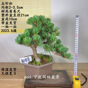 �����Ϙ�������������辰�����ļ���������ֲ����Ĕzһ��һ��