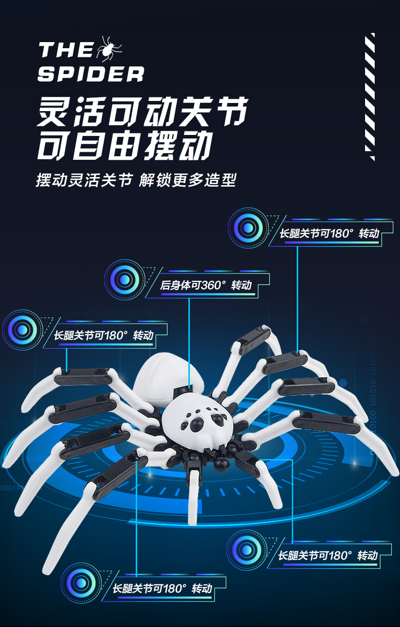 多关节蜘蛛_05.jpg