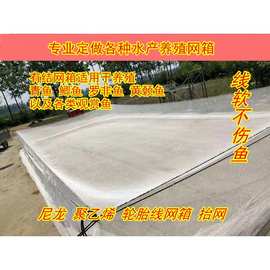 尼龙网箱轮胎线养鱼网箱鱼苗成鱼大网箱有结网箱抬网不伤鱼箱