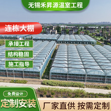 连栋大棚薄膜温室大棚农业蔬菜草莓种植棚塑料连体大棚种植棚