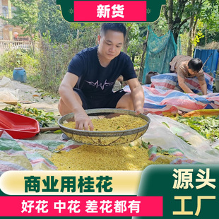 �ɹ𻨹��I����ԭ�Ϲ𻨸��黨횹��鹣���ý�𻨲���������l