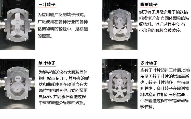 百力仕转子泵新_05