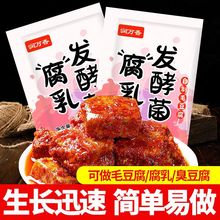 润万香腐乳发酵菌自制毛豆腐豆腐乳家用腐乳曲粉豆豉毛霉菌粉