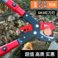 进口粗枝高枝修枝剪树枝果树绿化园艺剪刀伸缩大力剪园林工具