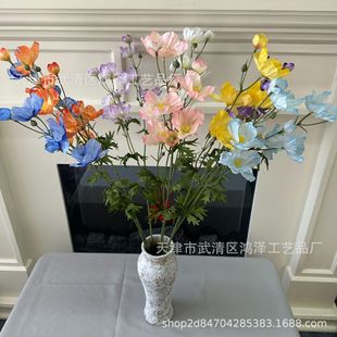 �߷�����^С�����ڻ� �����ҾӲ���b[����ˇ�{�軨�����b�