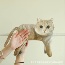 �ɐ�؈����ֽ��ʽ������ˮ�Ӻ���˃�ͯϴ���g�N��Ĩ�ֲ�