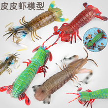 �羳���挍�ĺ������ģ��ƤƤ�r����Ŀ����r�����r�r���YƷ�[��