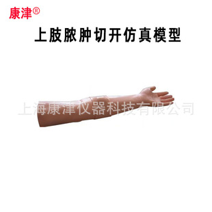 Kangjin Upper Limb Nong Swelling Incision Artificial Model, Upper Limb Nong Swelling Incision Training Model Kjr/6357