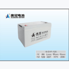 奥冠12V120AH 6-EVFJ-120电动汽车用铅酸胶体电池