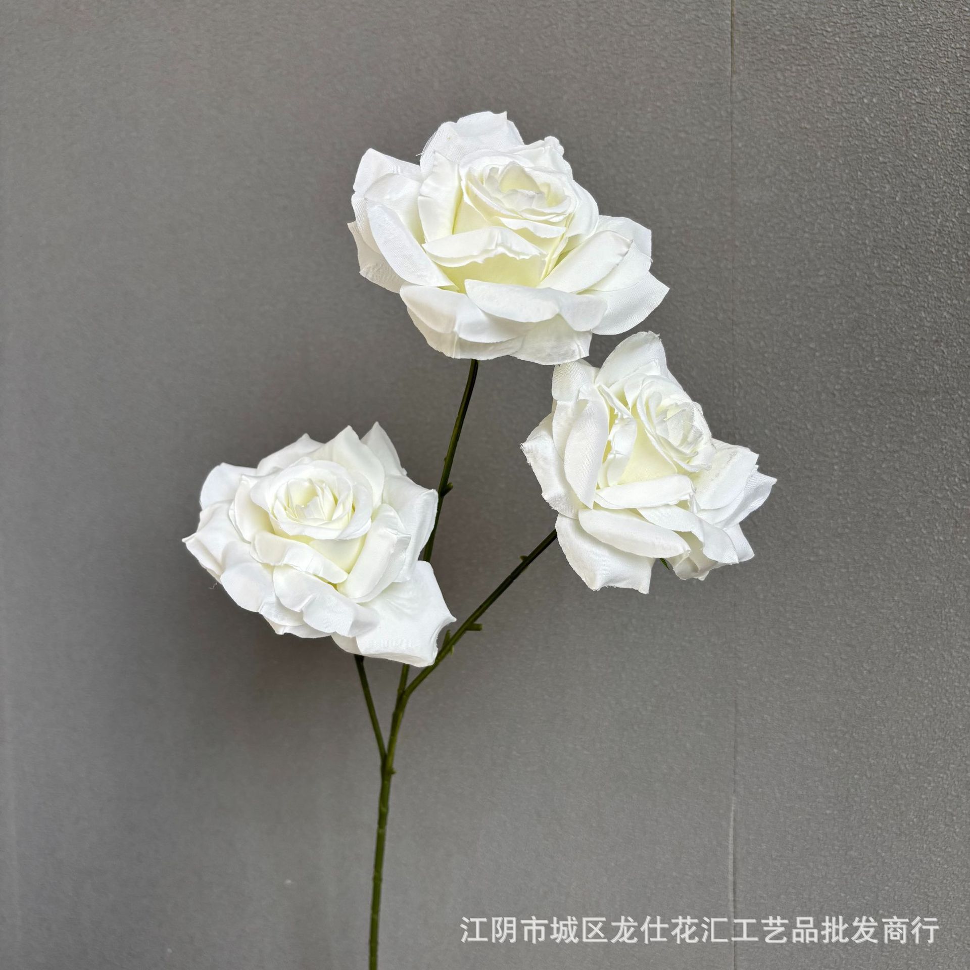 라떼 로즈