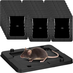 ���ϲ��������Qճ��及���zճ�������N����������mouse rat trap