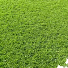 �������ƺ�o�¾G������̨�����R���������Ĵ��~���m��3̖�Ͳ�̤