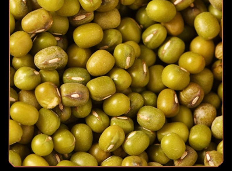Mung Bean Lu Dou 500g Natural Sun Dried Whole Grains for Soup Congee and Summer Drinks specifications