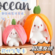 ������ݮ����ż׃�����}��С����ë�q��߹������޲��ڲ�ݮ�����