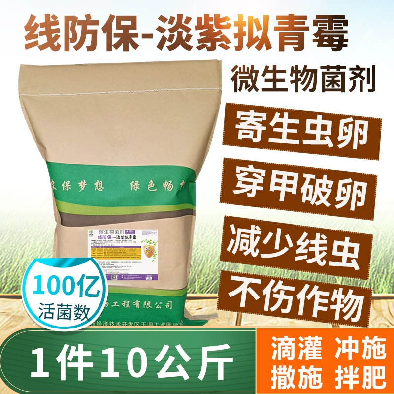 Линии против пурпурного пеницилозоида хитоолигосахаридные культуры корневые нити вредителей корневых стеблей нематод 10 кг/шт