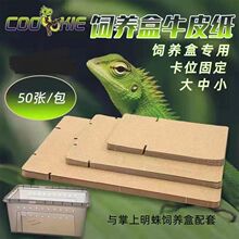 �������㼈ţƤ���|�����x��B�����׉|���،m����A6�������댙��