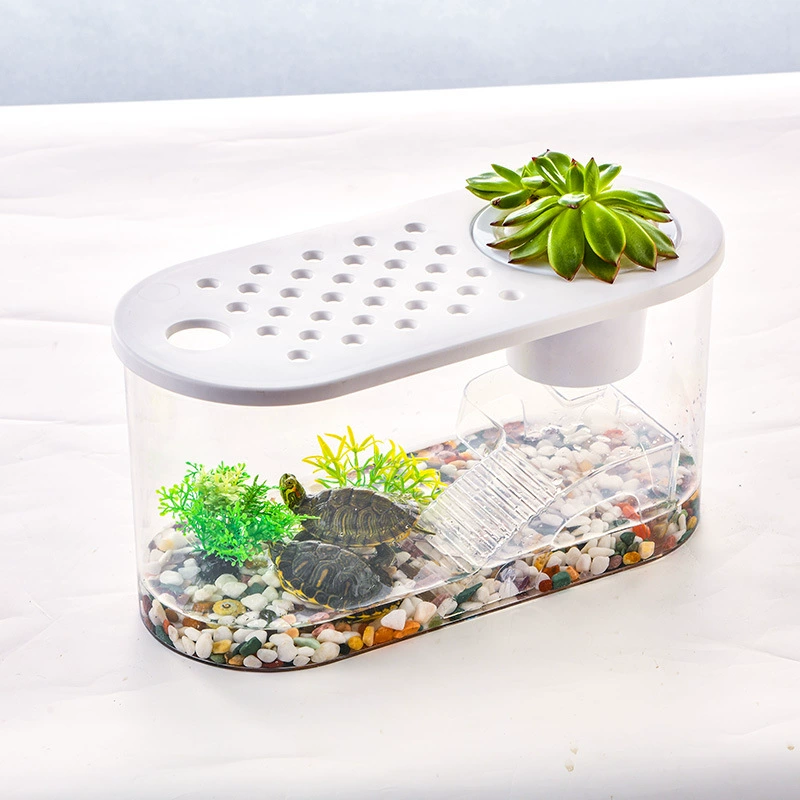 Маленький аквариум для черепах, пластиковый прозрачный аквариум для черепах с ландшафтным дизайном, украшение для гостиной, черепаший рай с платформой для загара, высокая прозрачность