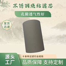 定制大口径一体成型制药行业物料的过滤洗涤干燥用不锈钢粉末滤芯