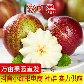 其他水果;桃子;梨