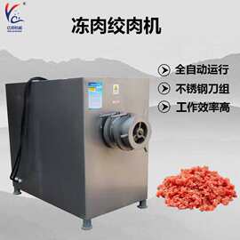 冻肉绞肉机商用 立式肉馅绞碎机 全自动宠物食品绞切机  诸城厂家